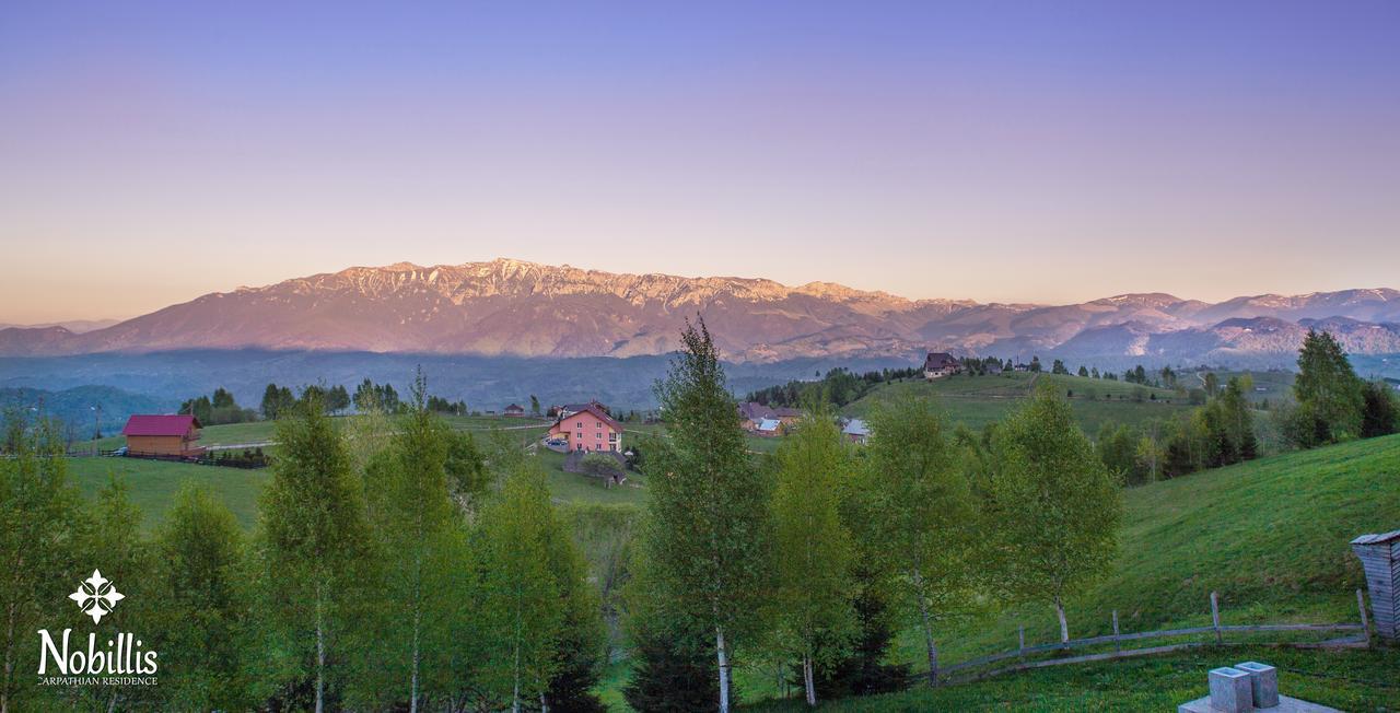 Nobillis - Carpathian Residence Pestera  Exterior photo